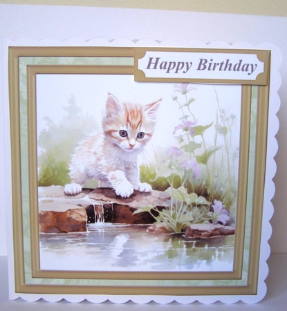 Pond side kitten card front 5 by Margaret McCartney