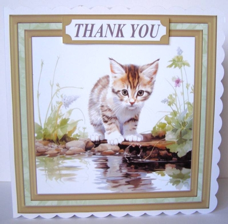 Pond side kitten card front 6 by Margaret McCartney