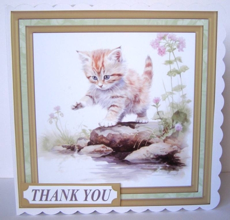 Pond side kitten card front 7 by Margaret McCartney