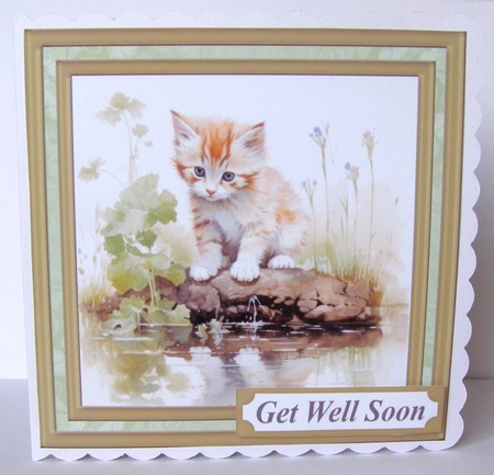 Pond side kitten card front 8 by Margaret McCartney