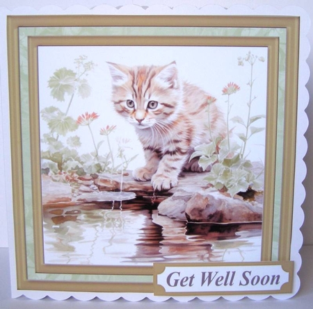 Pond side kitten card front 11 by Margaret McCartney