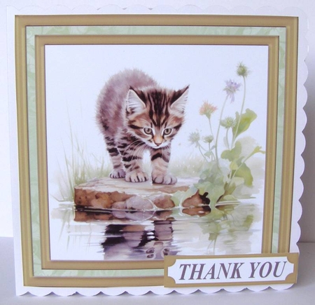 Pond side kitten card front 12 by Margaret McCartney