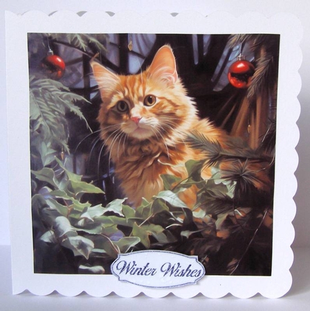 See Me BG by Margaret McCartney