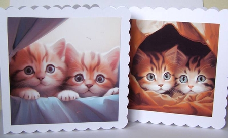 Peeking Cats BG by Margaret McCartney