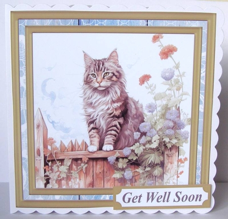 Cat on fence card front 1 by Margaret McCartney