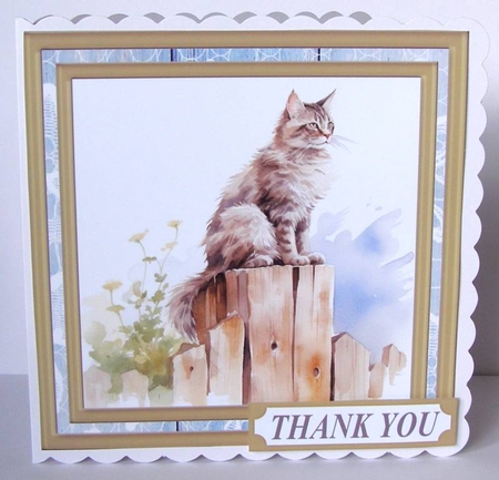 Cat on fence card front 3 by Margaret McCartney