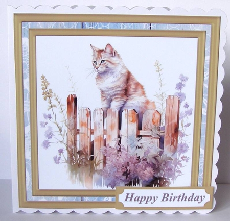 Cat on fence card front 6 by Margaret McCartney
