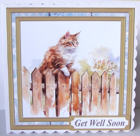 Cat on fence card front 10 by Margaret McCartney