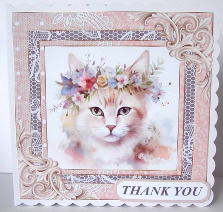 Framed floral cat card front 6 by Margaret McCartney