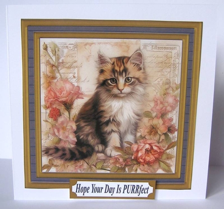 Framed floral cat card front (n2) by Margaret McCartney