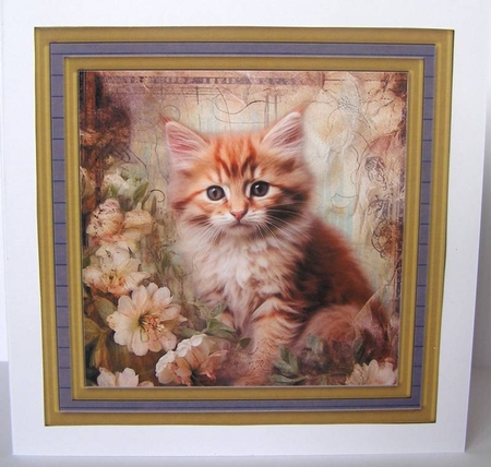Framed floral cat card front (n4) by Margaret McCartney