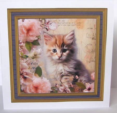 Framed floral cat card front (n5) by Margaret McCartney