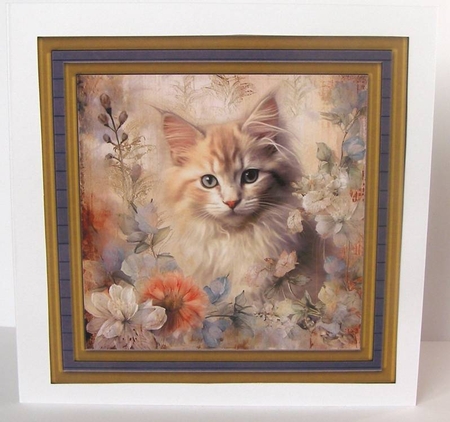 Framed floral cat card front (n7) by Margaret McCartney