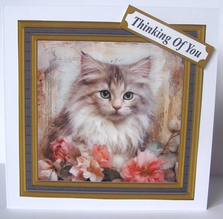 Framed floral cat card front (n8) by Margaret McCartney