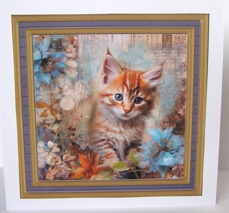 Framed floral cat card front (n9) by Margaret McCartney