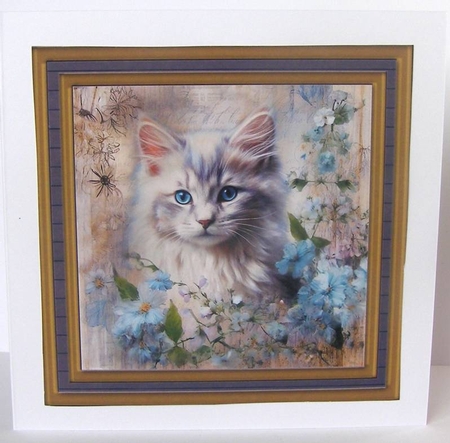 Framed floral cat card front (n10) by Margaret McCartney