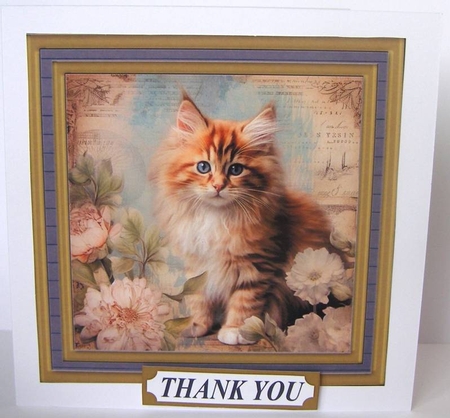 Framed floral cat card front (n12) by Margaret McCartney