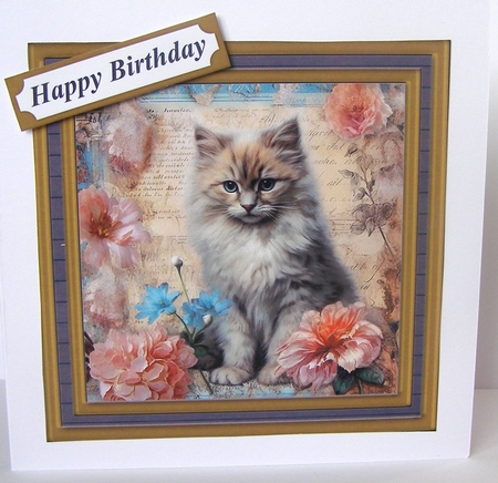 Framed floral cat card front (n15) by Margaret McCartney