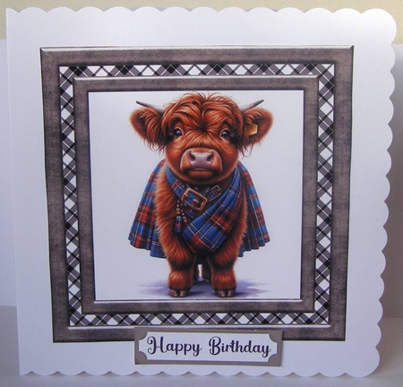 Tartan Highland cow card front 10 by Margaret McCartney