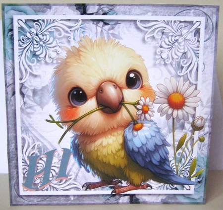 HI-BILLY Budgie by Margaret McCartney