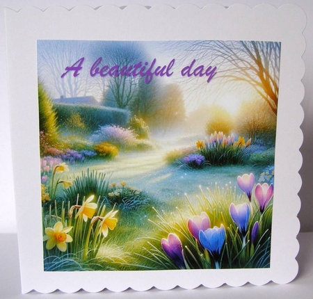 Morning spring light by Margaret McCartney