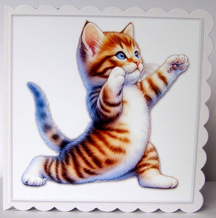 Yoga Cat Card Toppers by Margaret McCartney