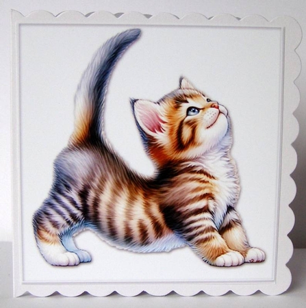 Yoga Cat Card Toppers by Margaret McCartney