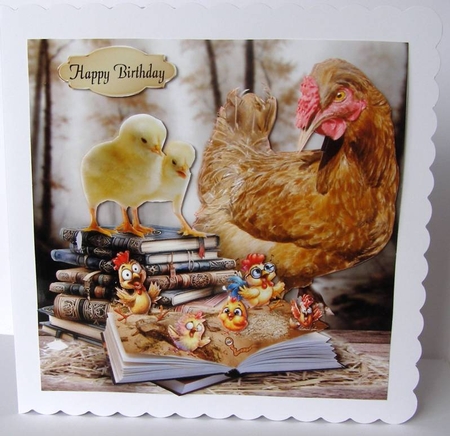 crazy chicks by Margaret McCartney