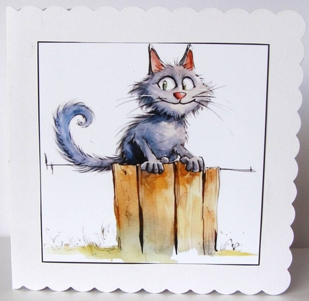 Funny Cats on a Fence by Margaret McCartney