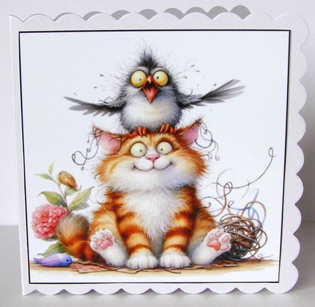 Funny Bird Cat Card Toppers by Margaret McCartney