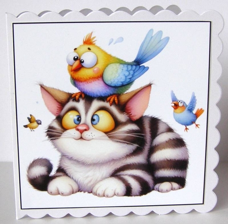 Funny Bird Cat Card Toppers by Margaret McCartney