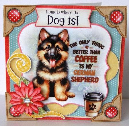 Pawsitively Pawsome 3 6x6 Simply Cards  by Margaret McCartney