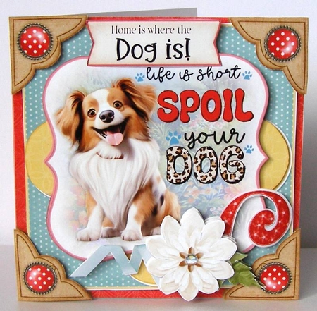 Pawsitively Pawsome 5 6x6 Simply Cards  by Margaret McCartney
