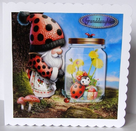 ladybug by Margaret McCartney