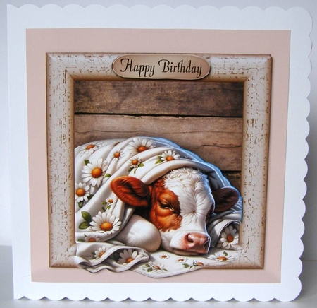 sleepy calf by Margaret McCartney