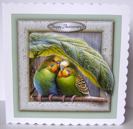 shelter from the rain by Margaret McCartney