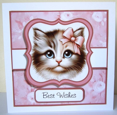 Sweet Kitty Faces by Margaret McCartney