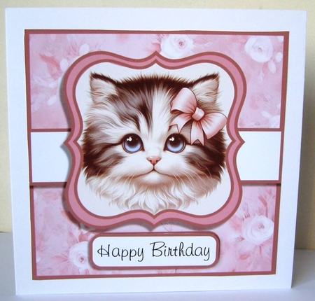 Sweet Kitty Faces by Margaret McCartney