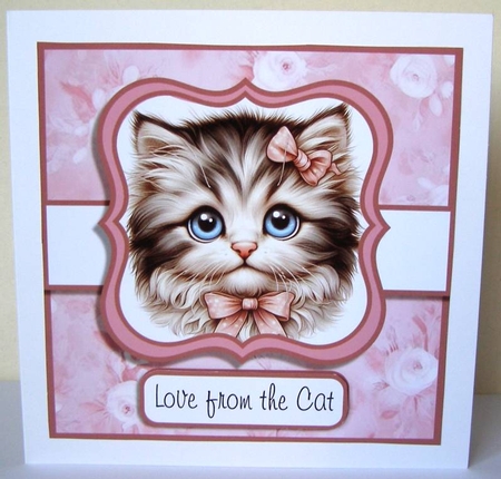 Sweet Kitty Faces by Margaret McCartney