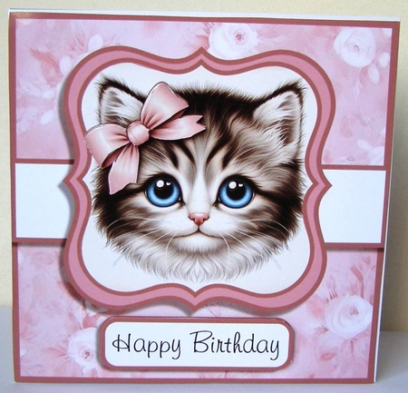 Sweet Kitty Faces by Margaret McCartney