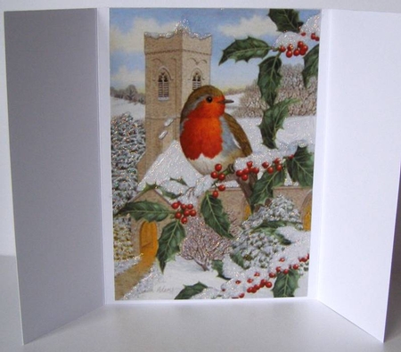 Lovely Christmas Robins Gate Fold (TWO) by Margaret McCartney