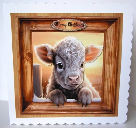 winter calf by Margaret McCartney