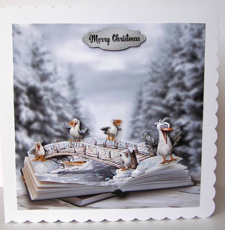 crazy seagulls by Margaret McCartney
