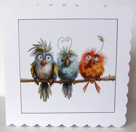 Funny Quirky Birds Card Toppers by Margaret McCartney