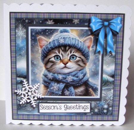 Super Cool Kitty by Margaret McCartney