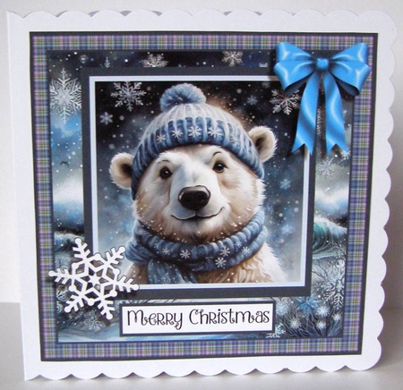 Super Cool Polar Bear by Margaret McCartney