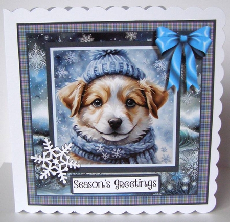 Super Cool Puppy by Margaret McCartney