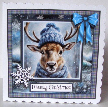 Super Cool Reindeer by Margaret McCartney