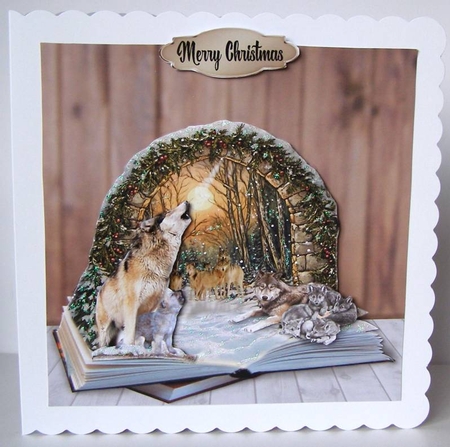 calling the wolves by Margaret McCartney