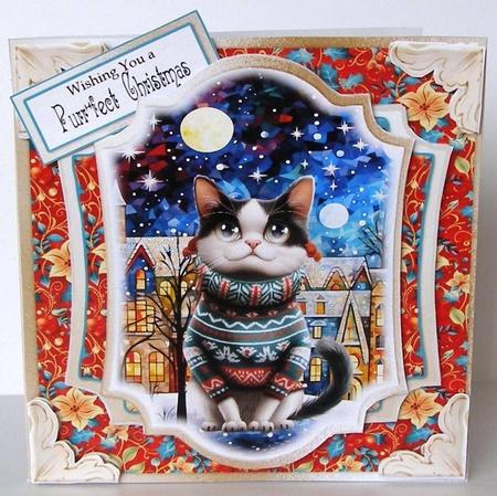 Festive Crazy Cats 8 by Margaret McCartney